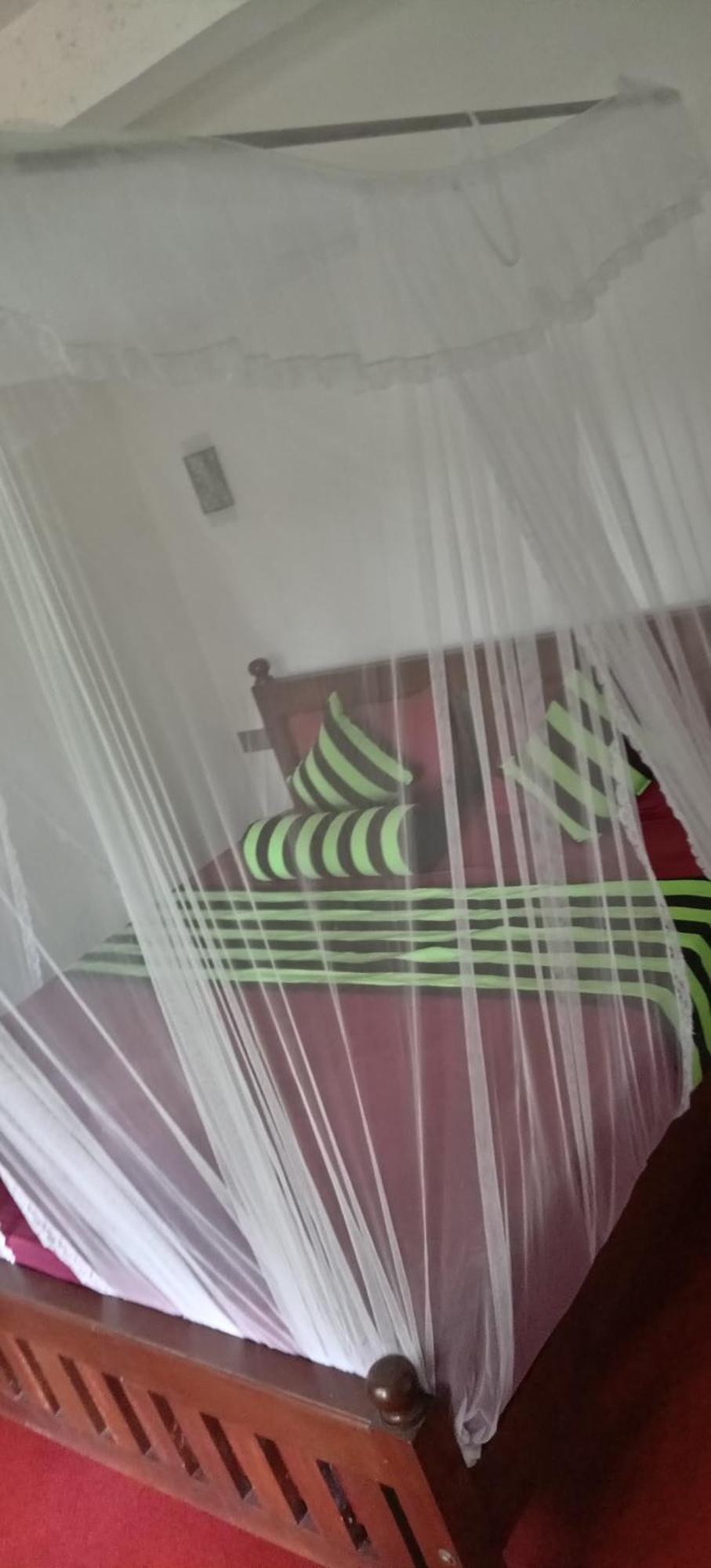 Ella Shali'S Home Buitenkant foto